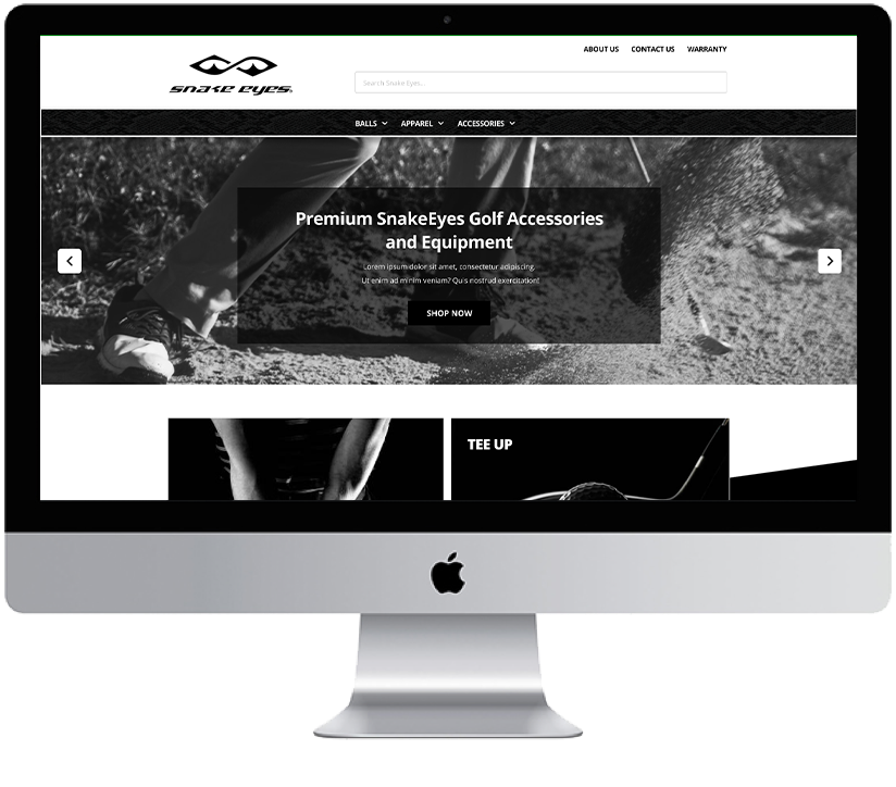 Static Image of SnakeEyes Live Site Desktop Mockup 1