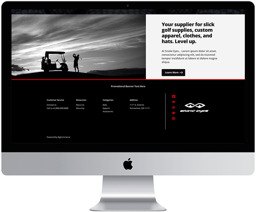 Static Image of SnakeEyes Live Site Desktop Mockup 2