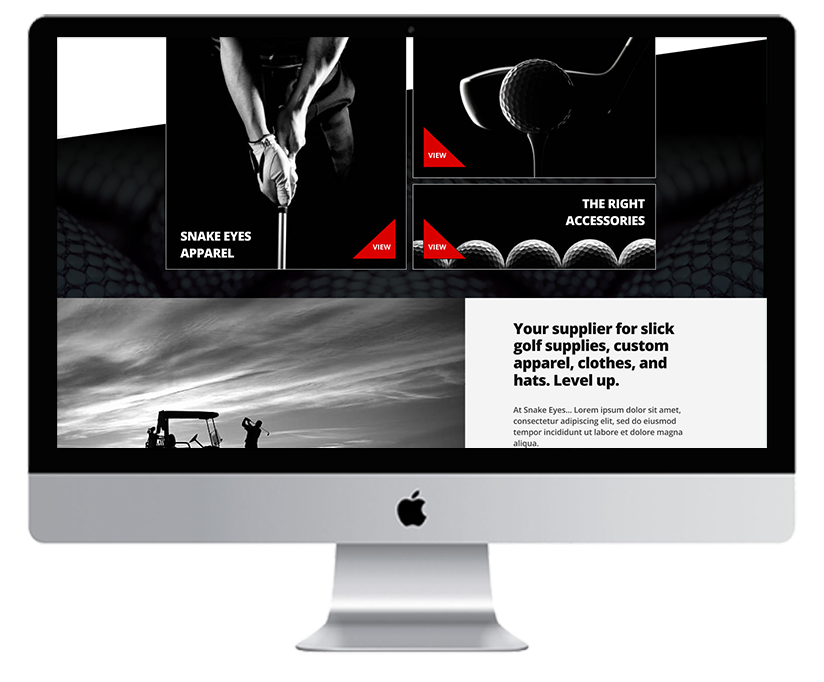 Static Image of Desktop Live Site Mockup SnakeEyes