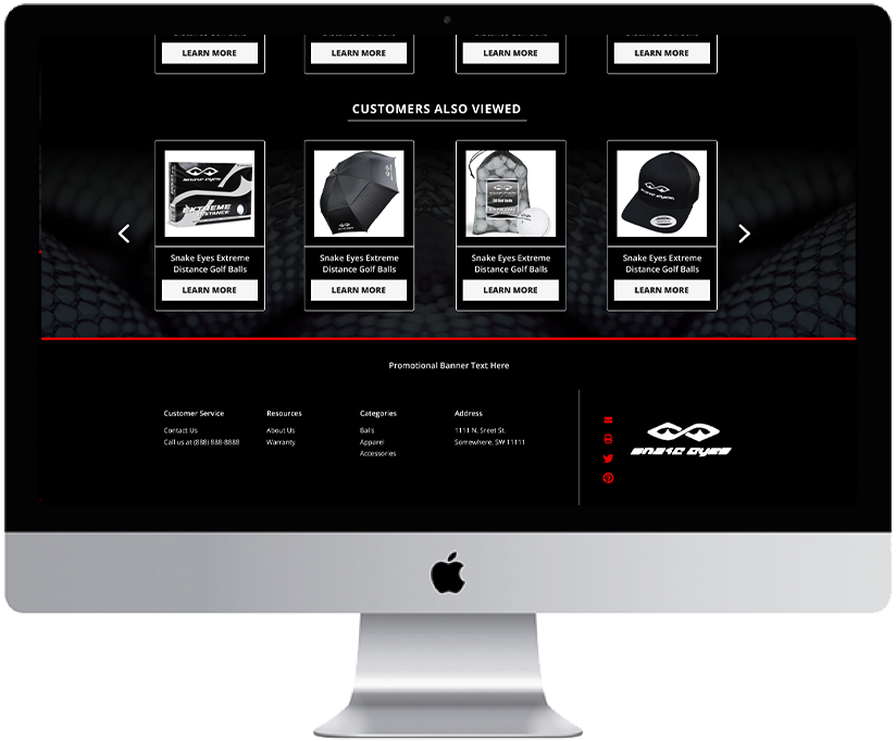 Static Image of SnakeEyes Live Site Desktop Mockup 3