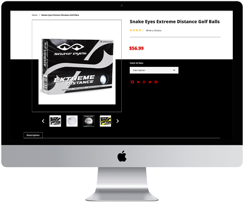 Static Image of SnakeEyes Live Site Desktop Mockup 4